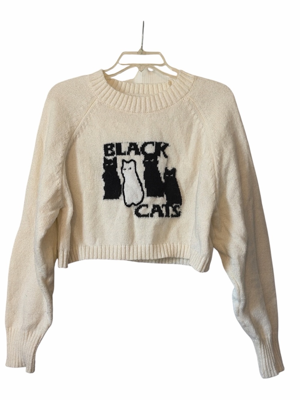 ‼️Limited time‼️Cider Black Cats cropped sweater